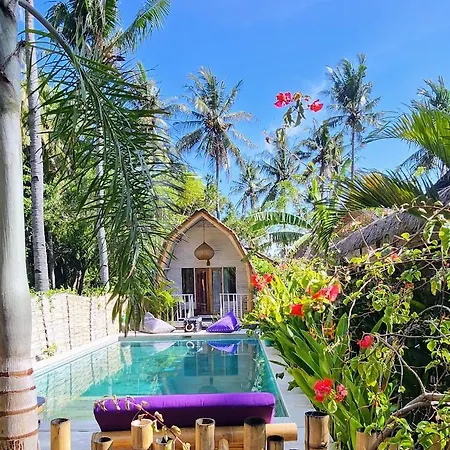 Purple Beach - Maithelia - Gili Air-3